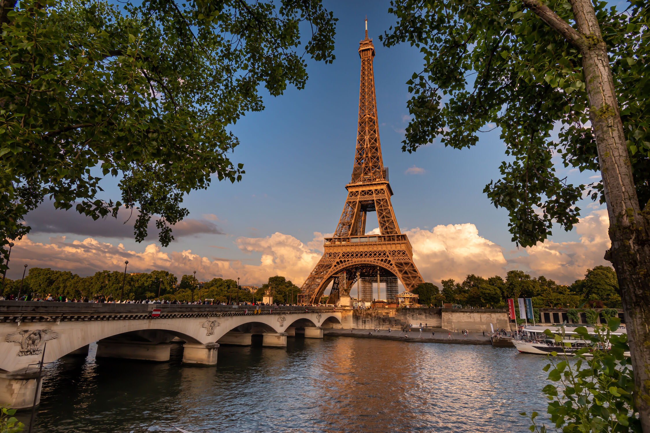 Bild mit Bäume, Laubbäume, Städte, City, Paris Eiffel Tower, Eiffelturm, Paris
