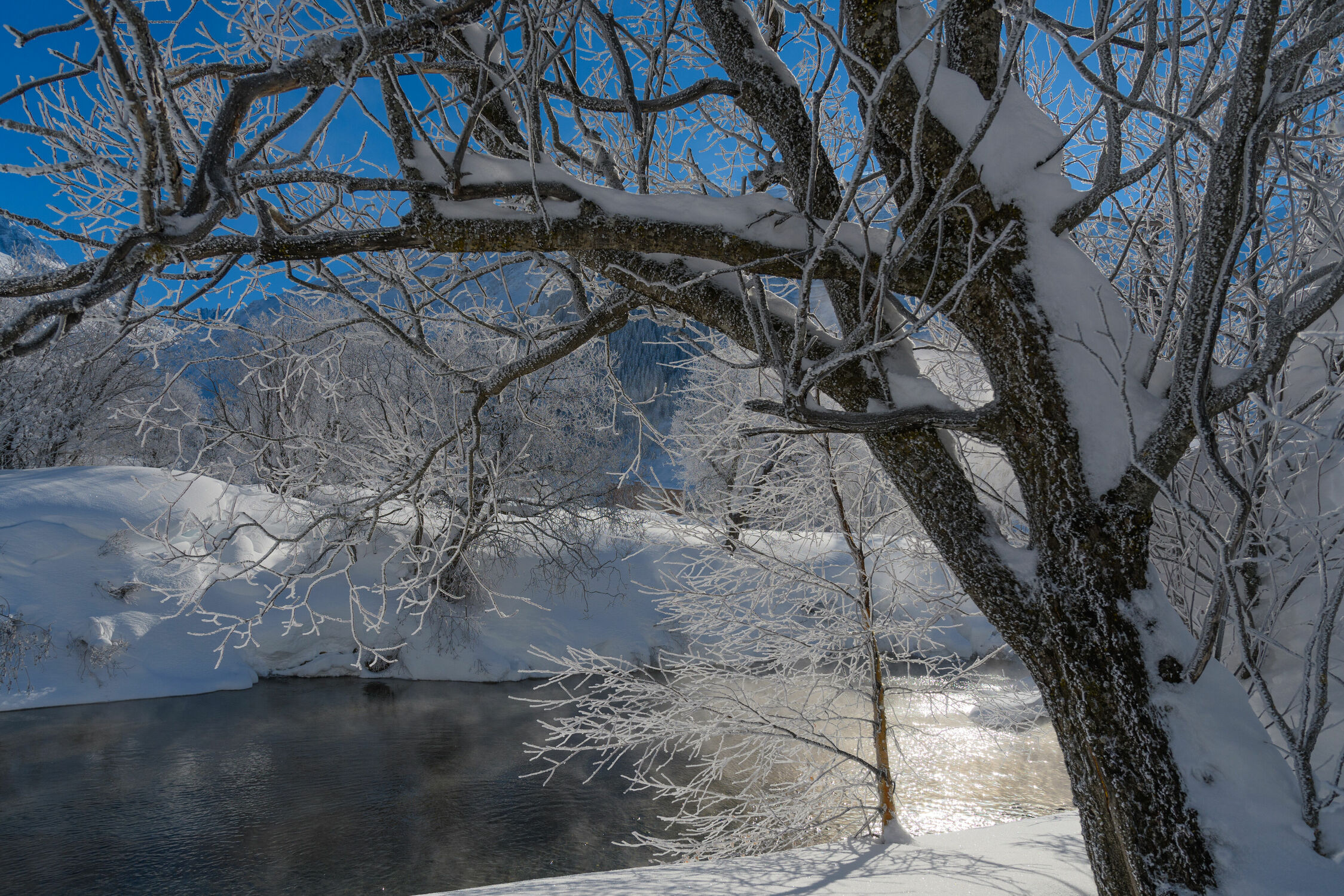 Bild mit Winter, winterlandschaft, Winterimpressionen, Winterbilder