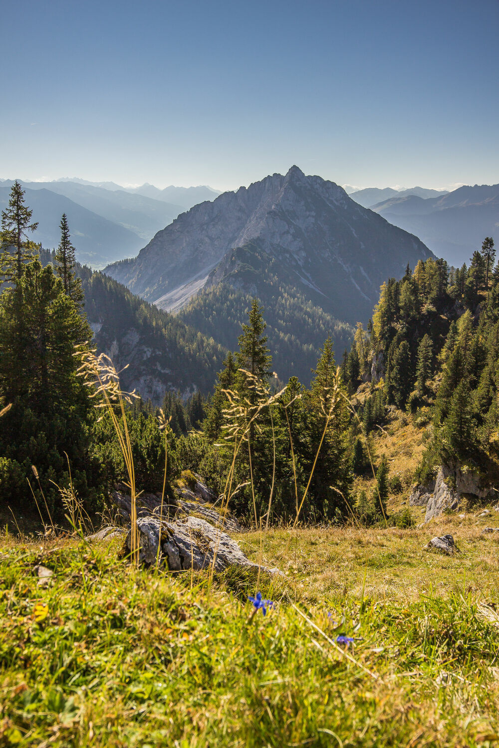 Bild mit Berge, Alpen, Alpenland, Alpen Panorama, Waldblick, Blauer Himmel, Bergkette, Bergwanderung, Bergpanorama