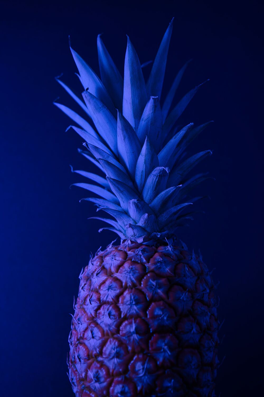 Bild mit Blau, Frucht, Ananas, Küchenbild, Licht, Küche