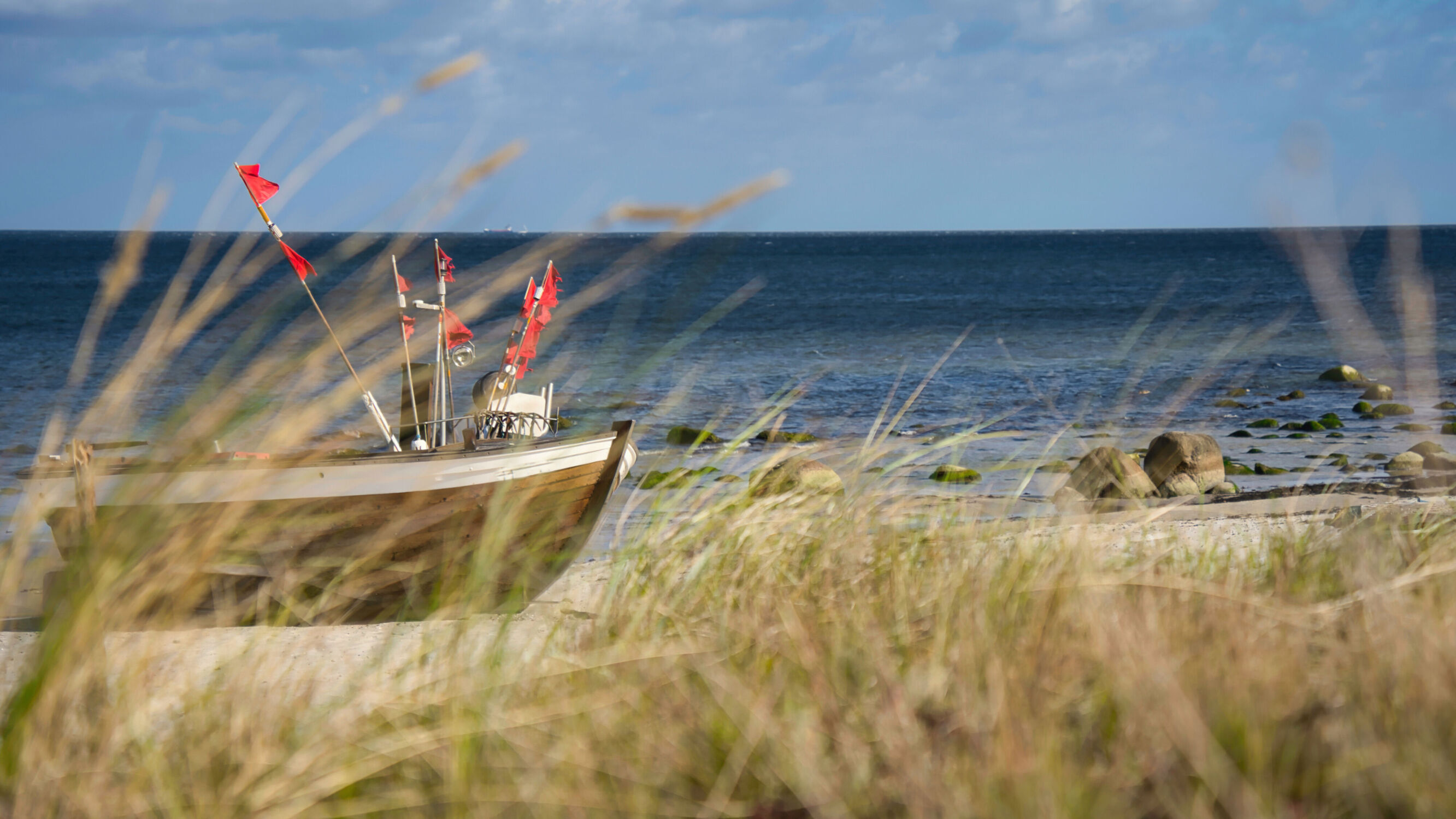 Bild mit Gräser, Strand, Sandstrand, Meerblick, Ostsee, Meer, Düne, Insel Rügen, Holzboot, Badeurlaub