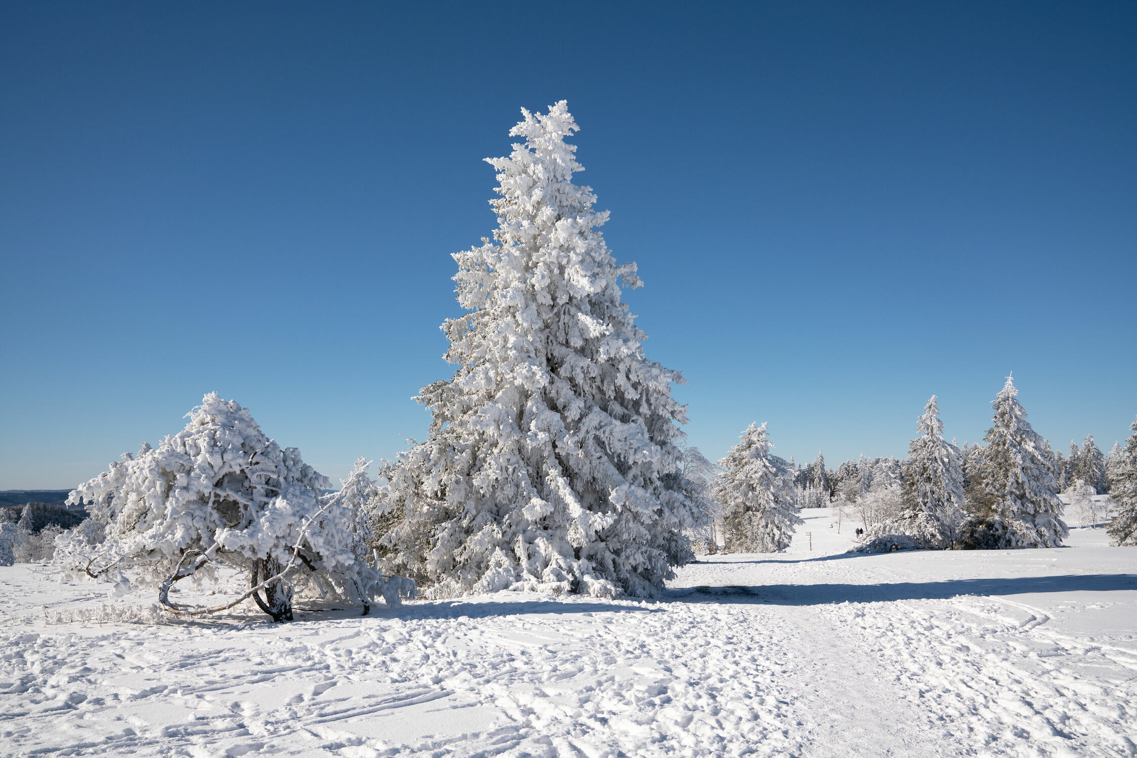 Bild mit Natur, Landschaften, Winter, Schnee, Deutschland, winterlandschaft, Reisen, Sauerland, Winterberg