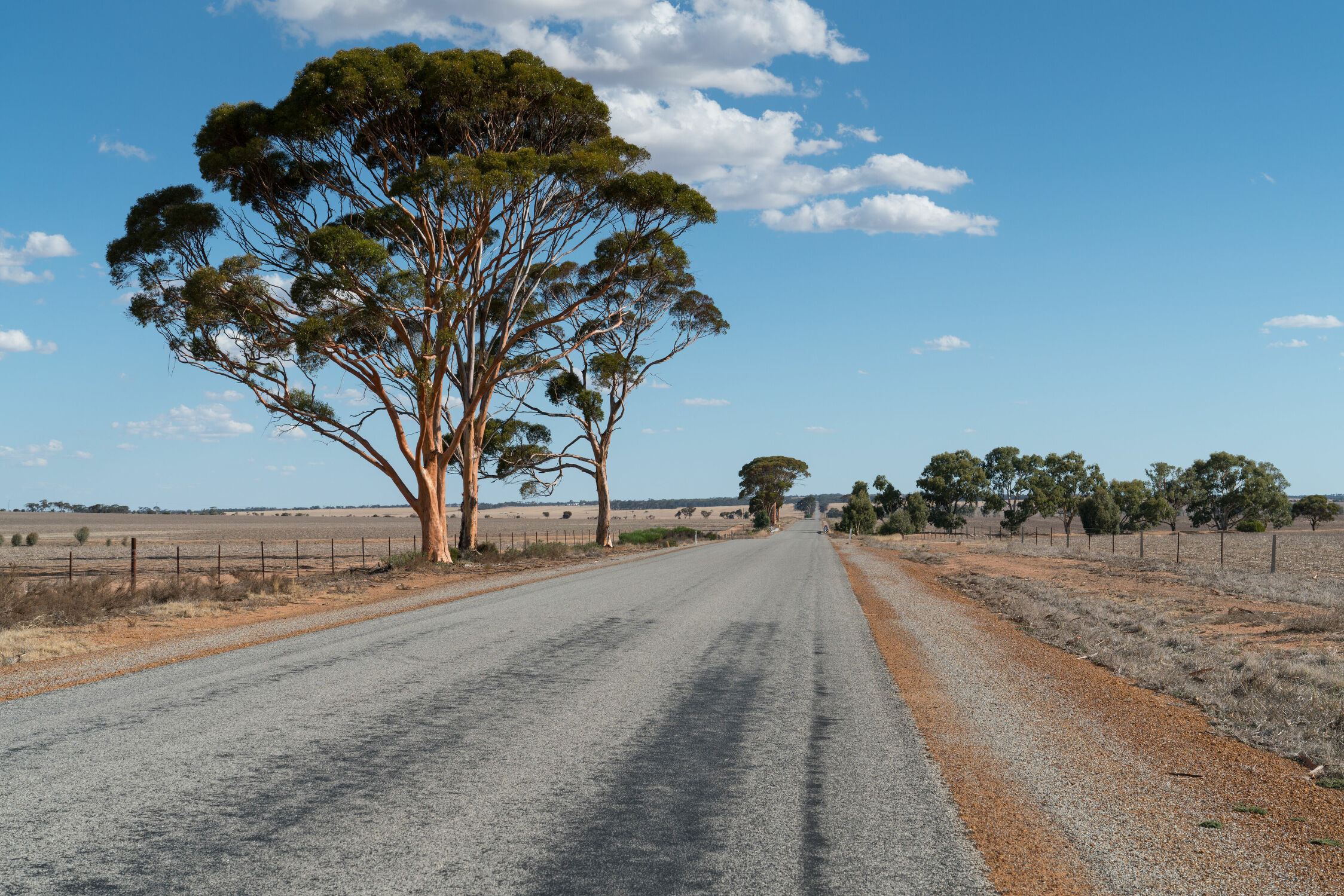 Bild mit Natur, Landschaften, Straßen und Wege, Panorama, Reisen, Australien, Western Australia, outback