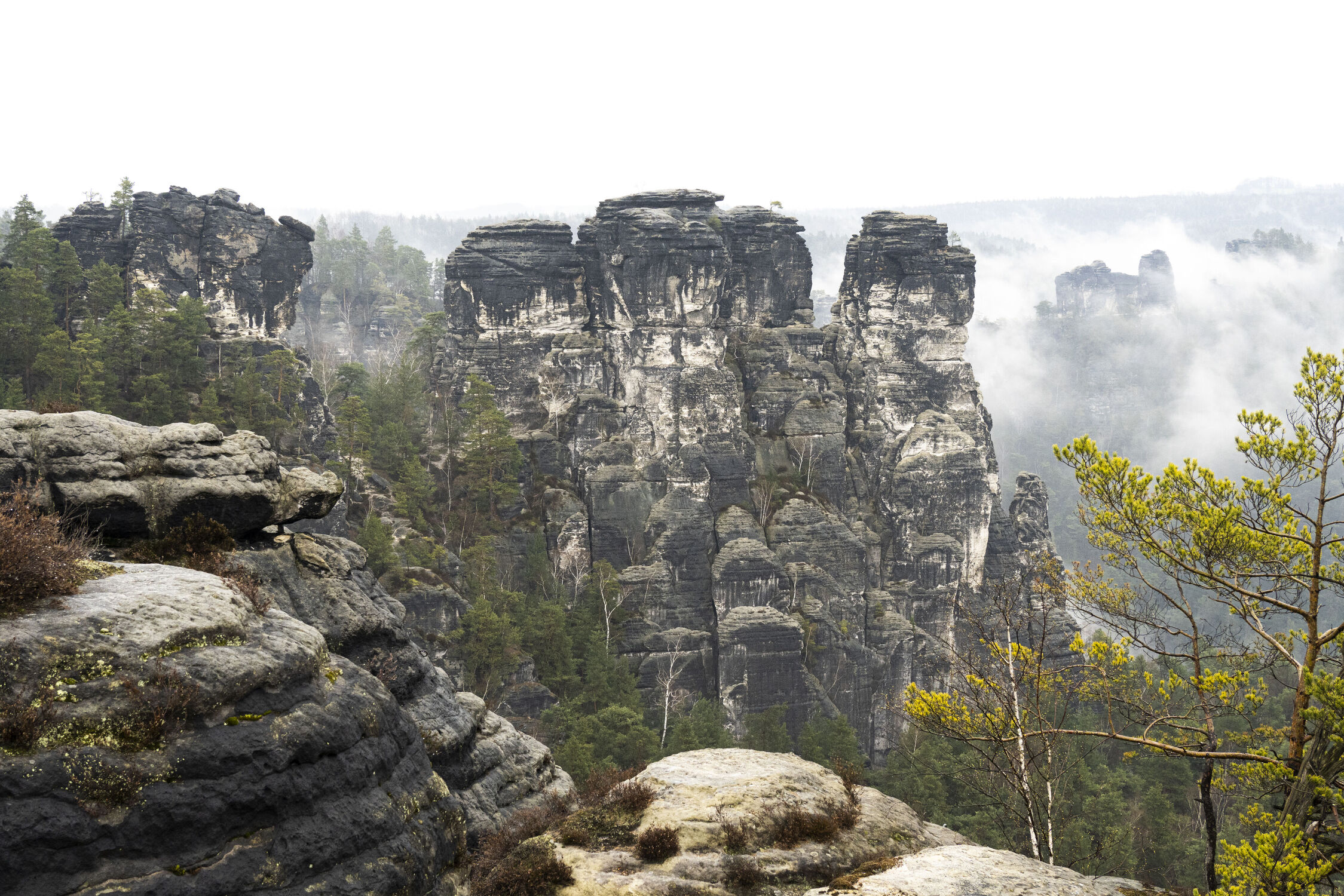 Bild mit Natur, Felsen, Frühling, Nebel, Landschaft, Elbsandsteingebirge, sandstein, sächsische schweiz, Bastei, Gansfelsen