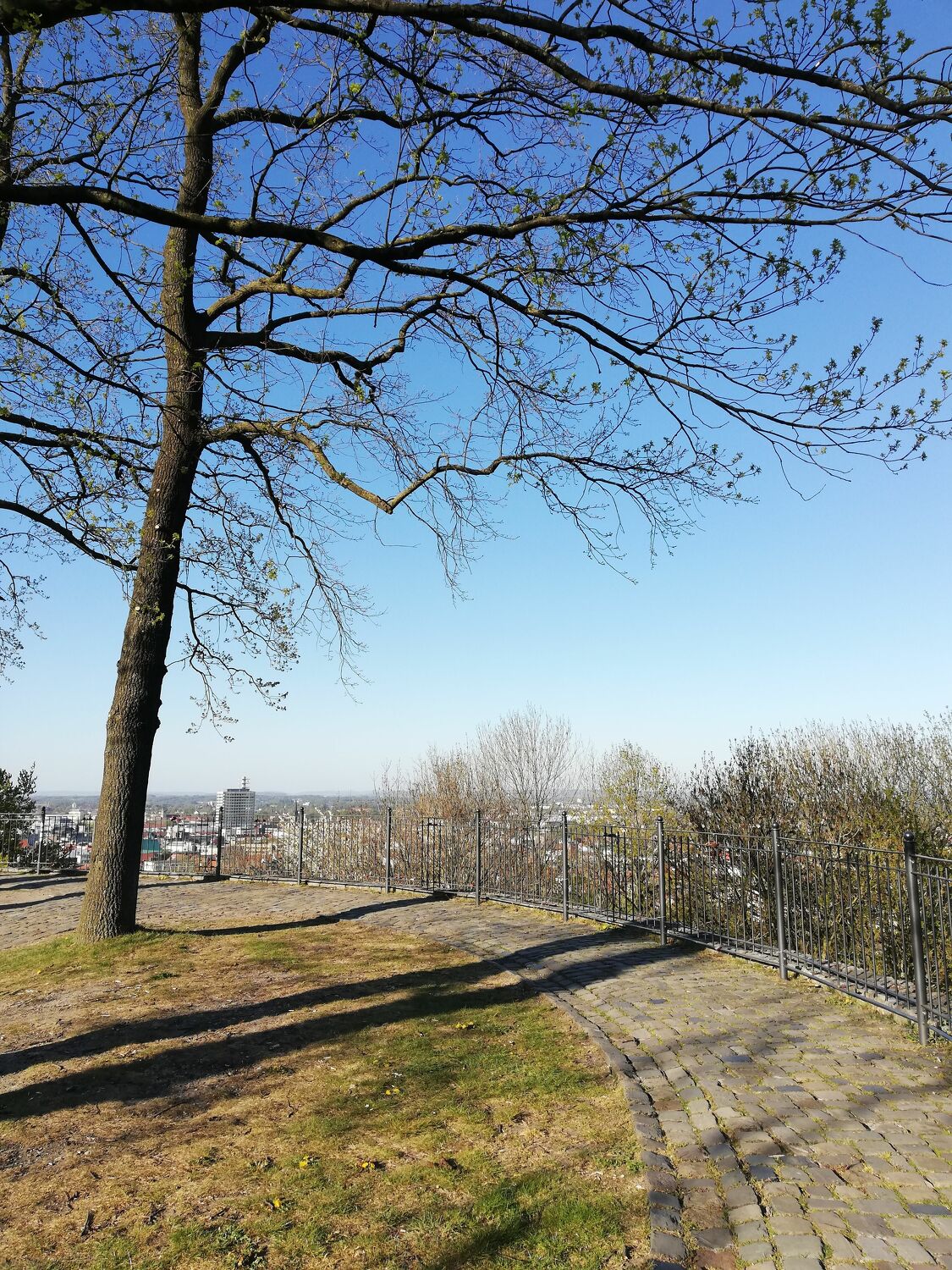 Bild mit Natur, Landschaften, Baum, Blauer Himmel, Norddeutschland, Aussichtspunkt, Nordrhein Westfalen, Sparrenburg, Bielefeld