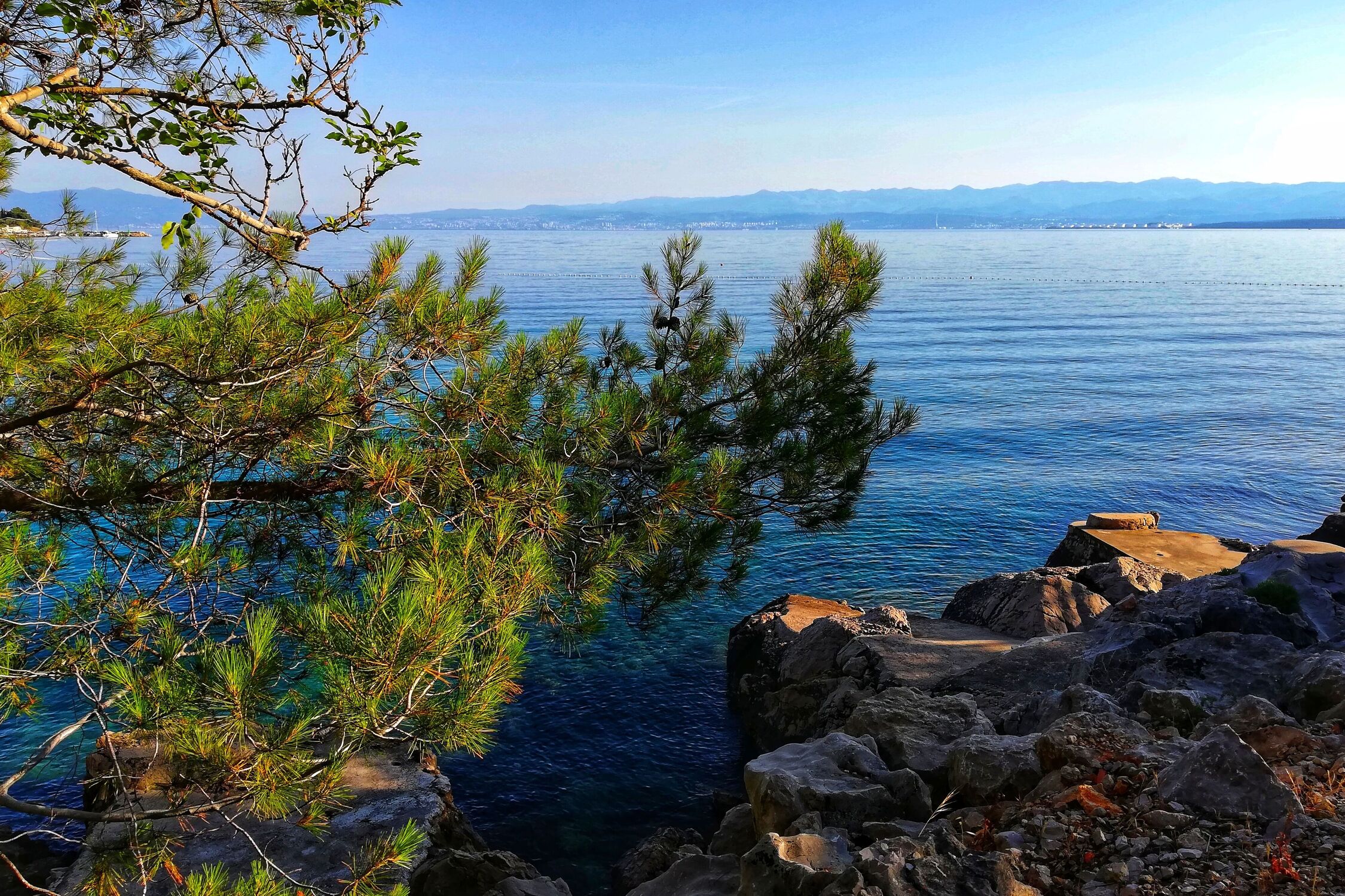 Bild mit Meer, Küste, Pinien, kroatien, Naturliebe, Küstenblick, Vantačići