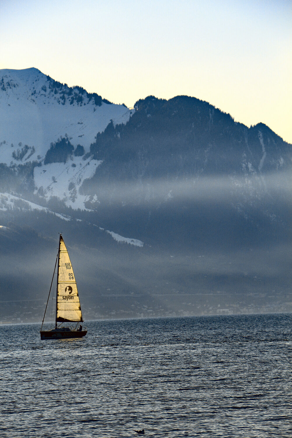 Bild mit Berge, Schnee, Segeln, Segelboot, See, See, Kalt, Alleine, Vierwaldstättersee