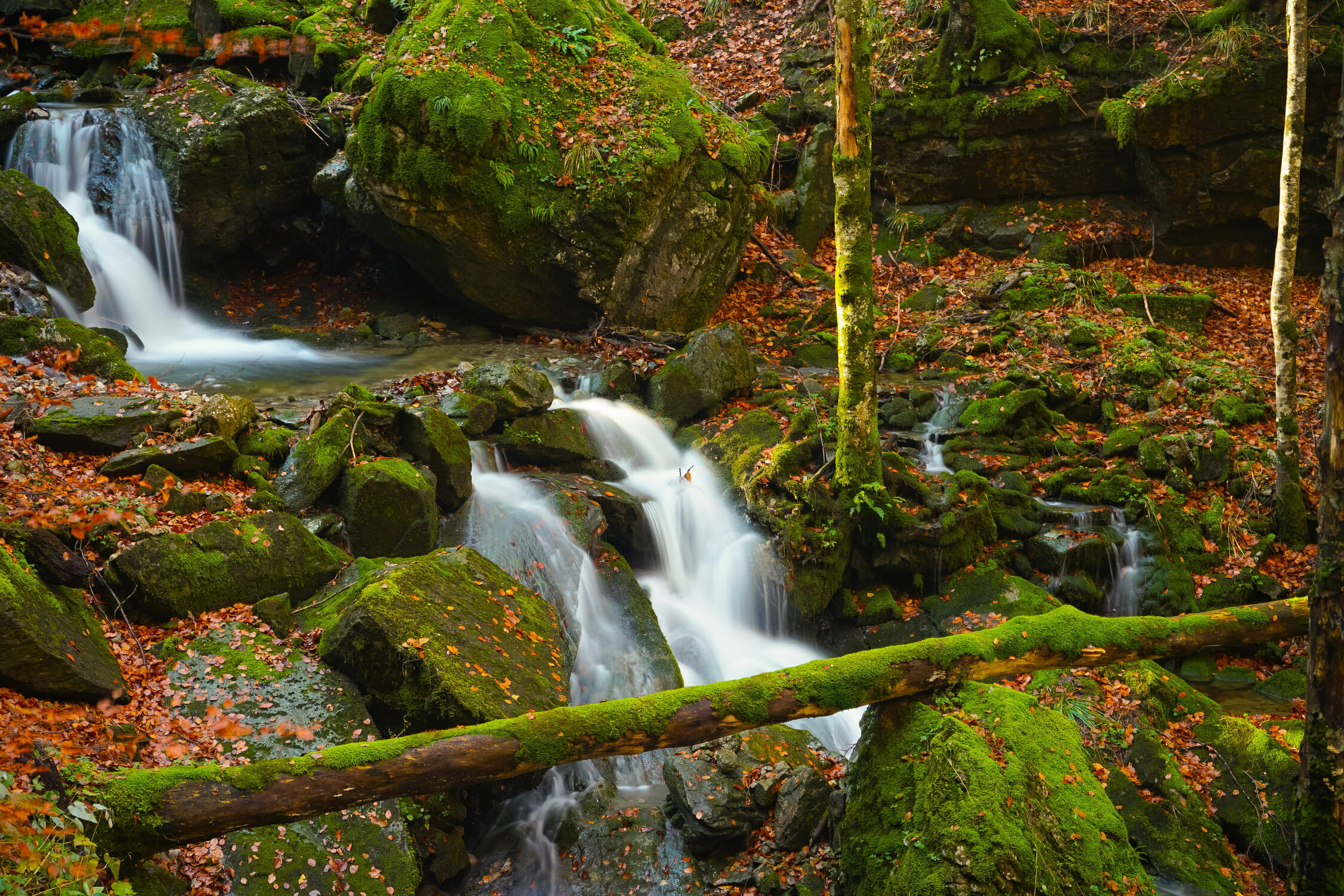 Bild mit Natur, Wälder, Wasserfälle, Wald, Steine, Wasserfall