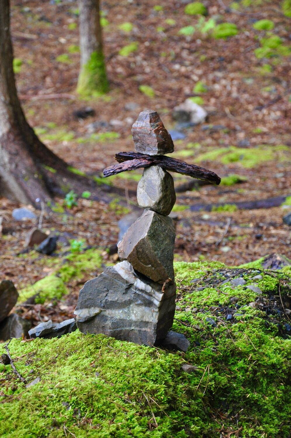 Bild mit Stein, Wald, balance, Ruhe, Moos