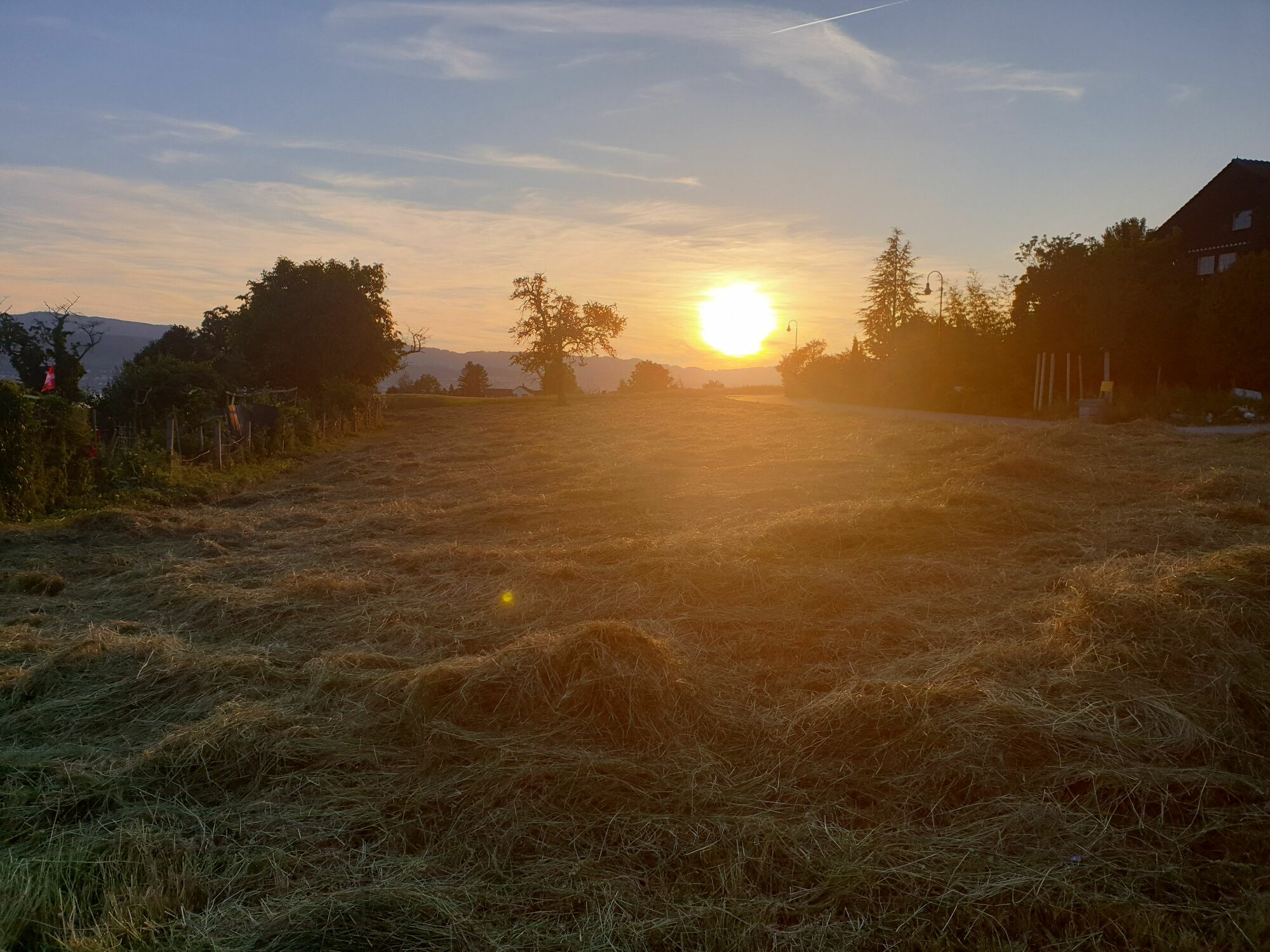 Bild mit Weiden und Wiesen, Sonnenuntergang, Bauernhöfe, Schweiz