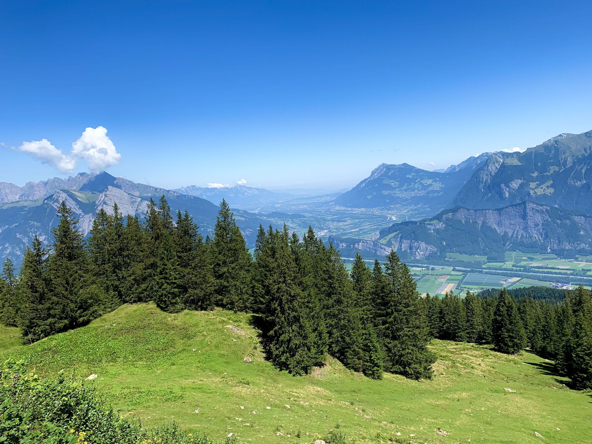 Bild mit Natur, Landschaften, Berge und Hügel, Berge, Bäume, Feld, Schweiz