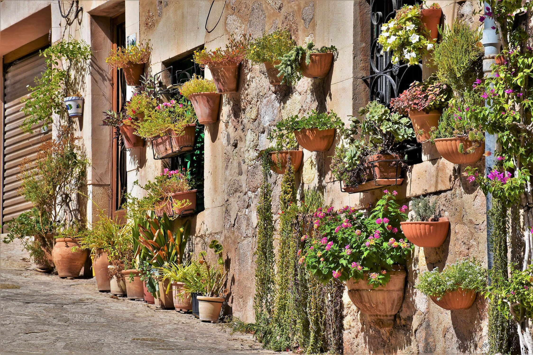 Bild mit Pflanzen, Blumen, Gebäude, Dekoration, Hausfassade