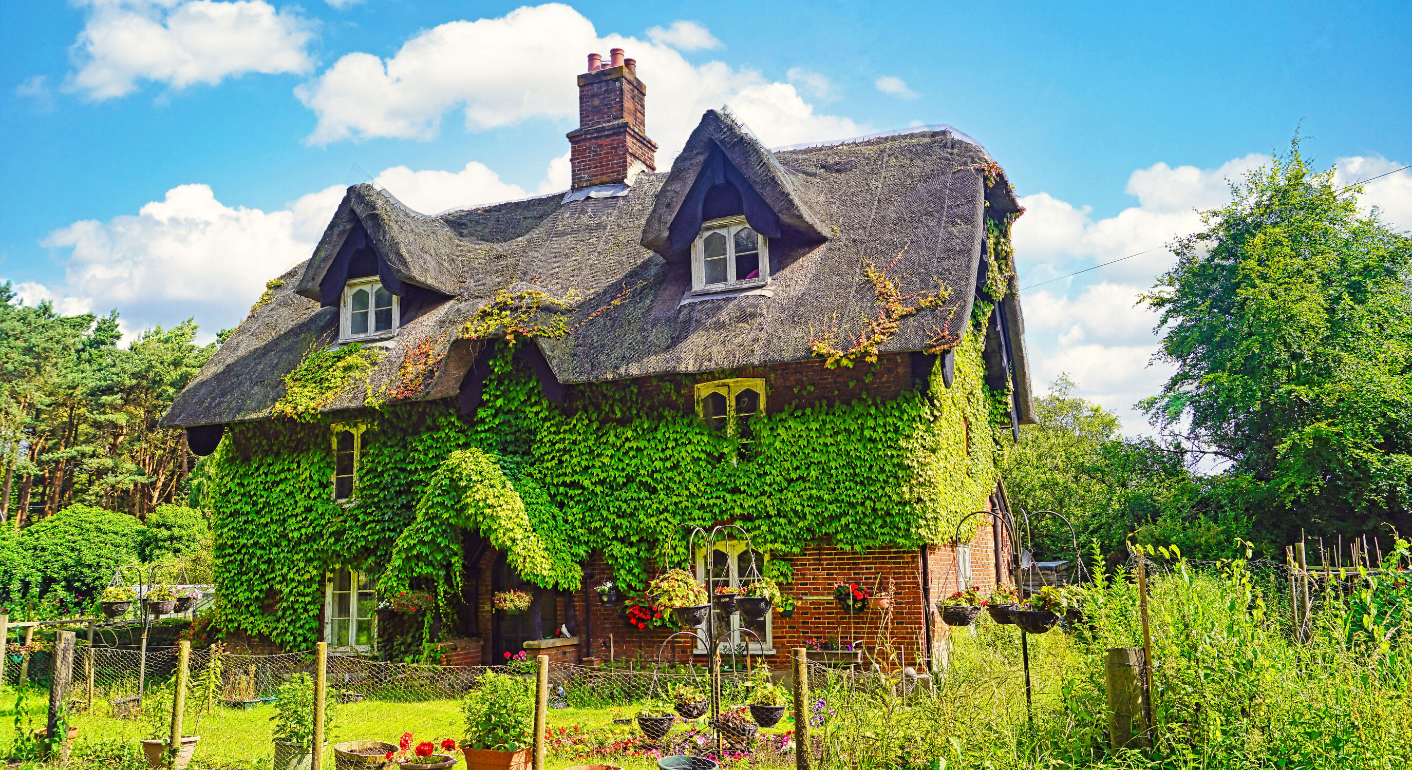 Bild mit Natur, Grün, Gebäude, England, Haus, Landschaft, efeu, Suffolk