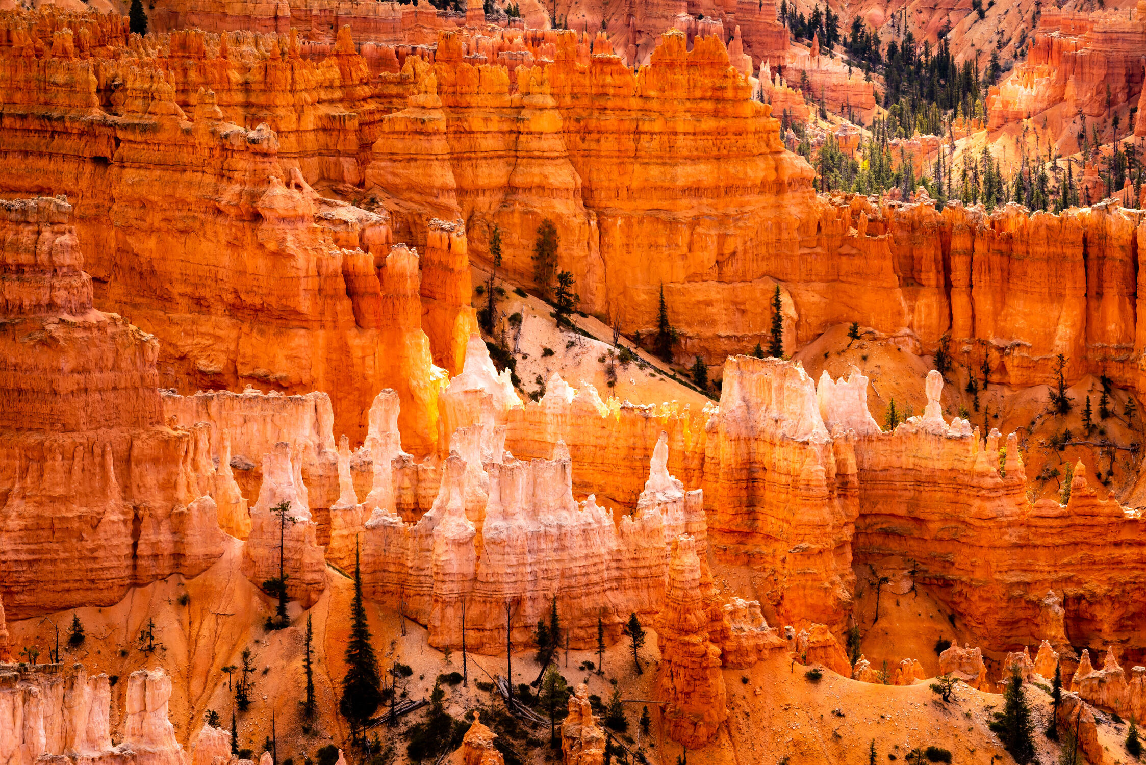 Bild mit Landschaft, Bryce Canyon, USA, Nationalpark, Erosion, USA Nationalparks, Utah, hoodoo