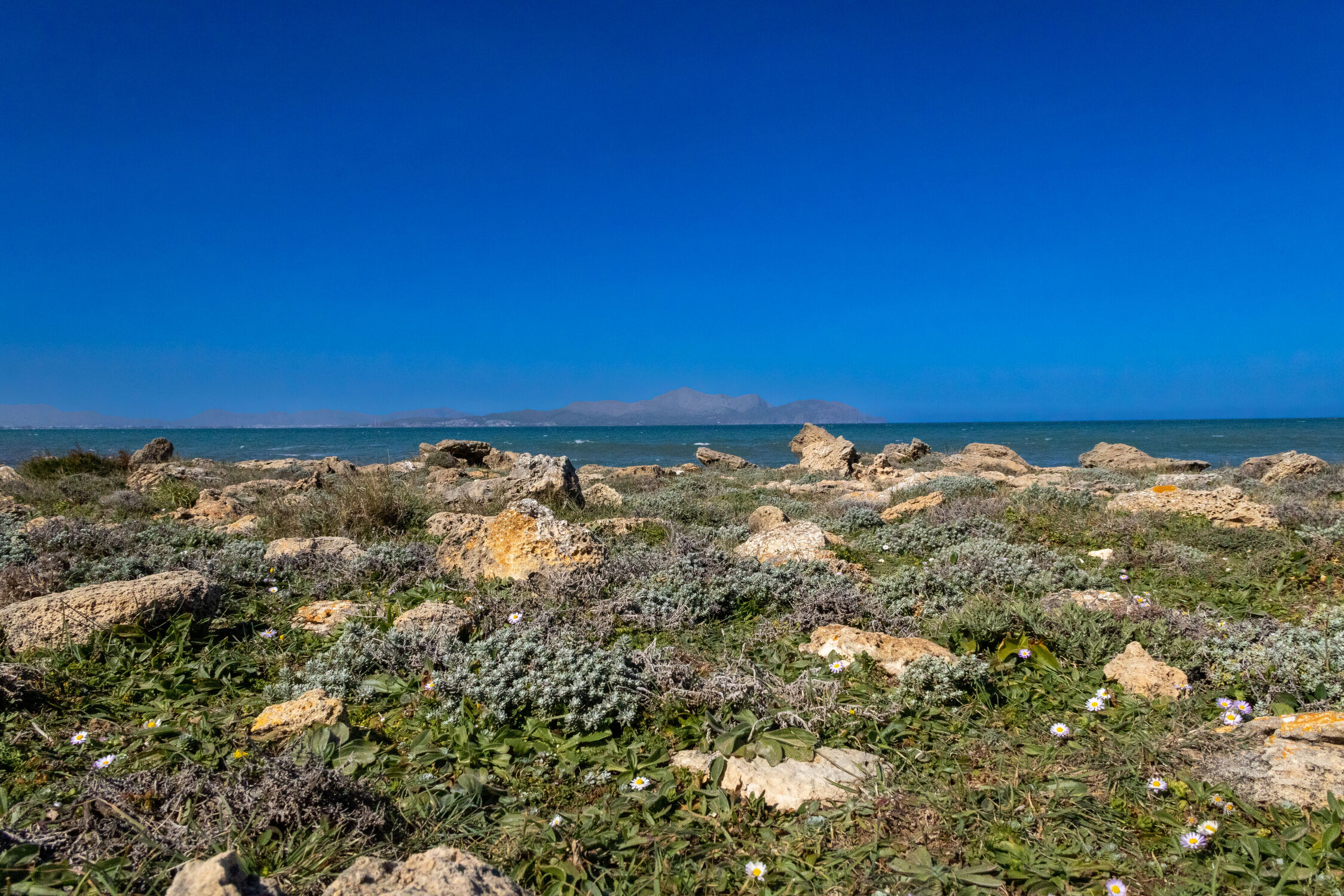 Bild mit Natur, Sand, Strand, Sandstrand, Meerblick, Meer, spanien, mallorca, Balearen, ibiza