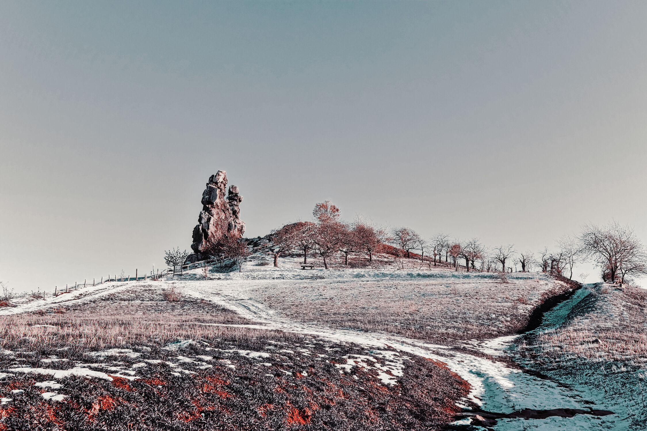 Bild mit Winter, winterlandschaft, Landschaften & Natur, Harz, Landschaftsfotografie, Quedlinburg, Teufelsmauer, Wernigerode, infrarotfotografie, Aerochrome