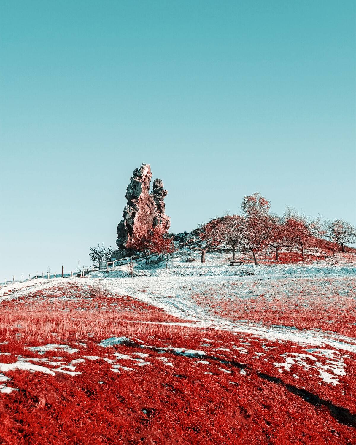 Bild mit Winter, Landschaft, Landschaften & Natur, Winterlandschaften, Landschaftsfotografie, Quedlinburg, Wernigerode, Aerochrome, Halberstadt, Infrarot