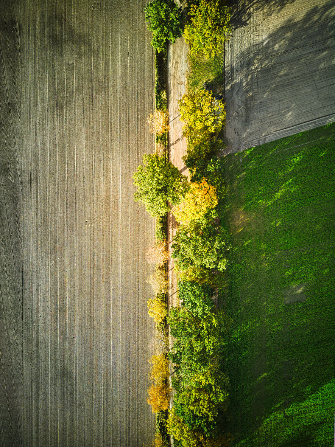 Bild mit Landschaft, Drohne, Luftbild