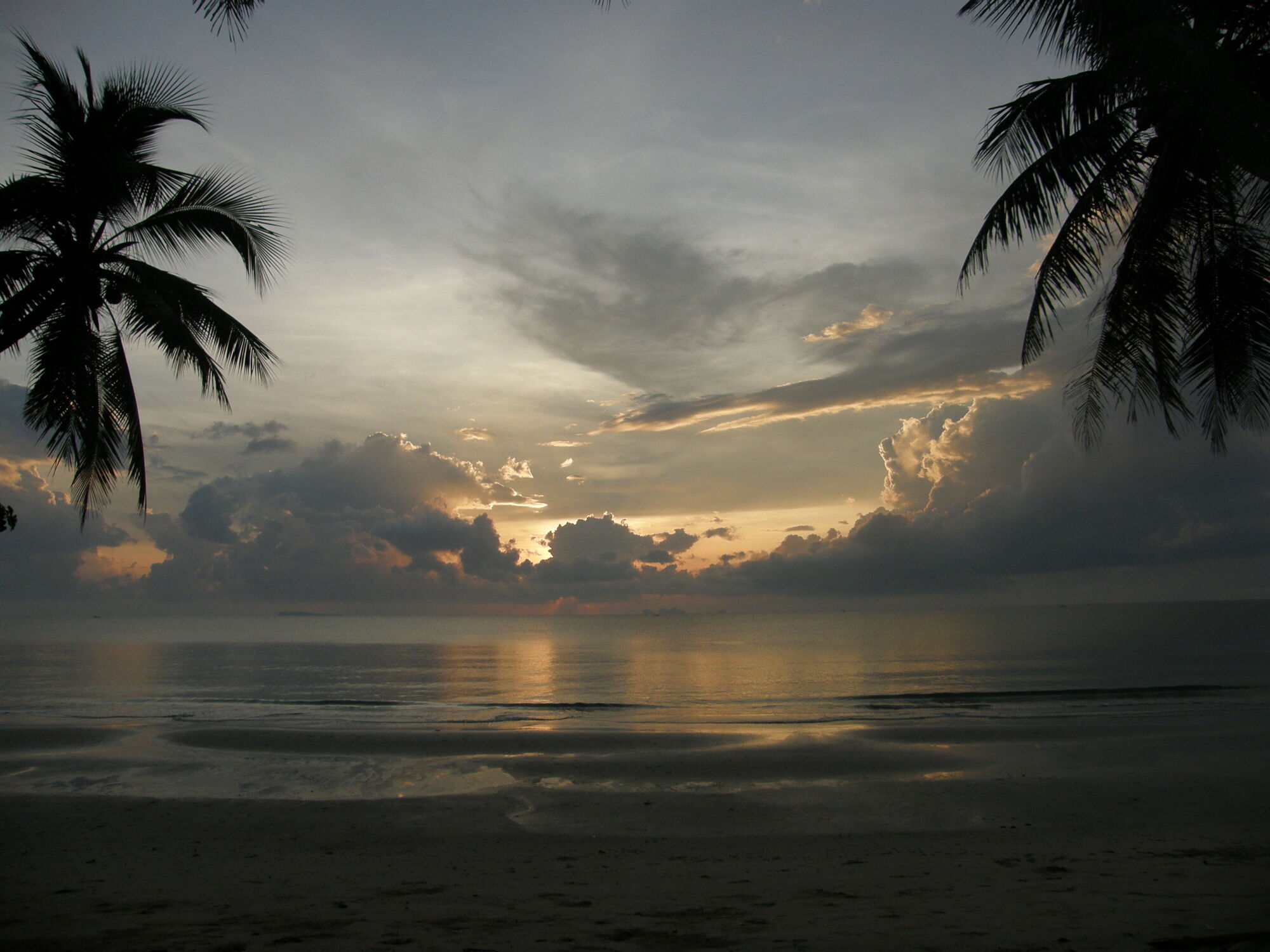 Bild mit Wolken, Palmen, Sonne, Strand, Meer