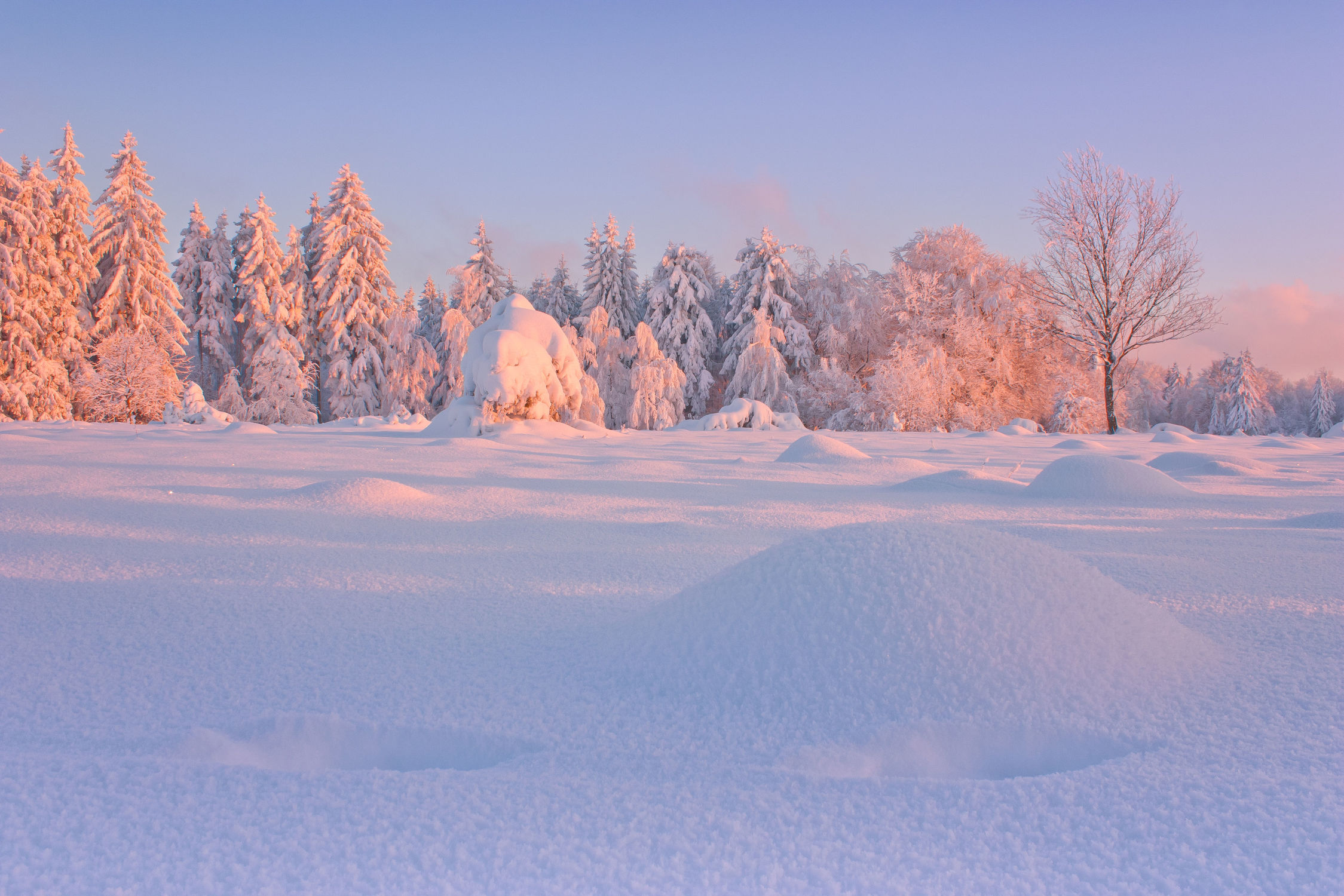Bild mit Landschaften, Winter, Schnee, Eis, Sonnenuntergang, Sonnenaufgang, winterlandschaft, Landschaften im Winter, Kälte, Frost