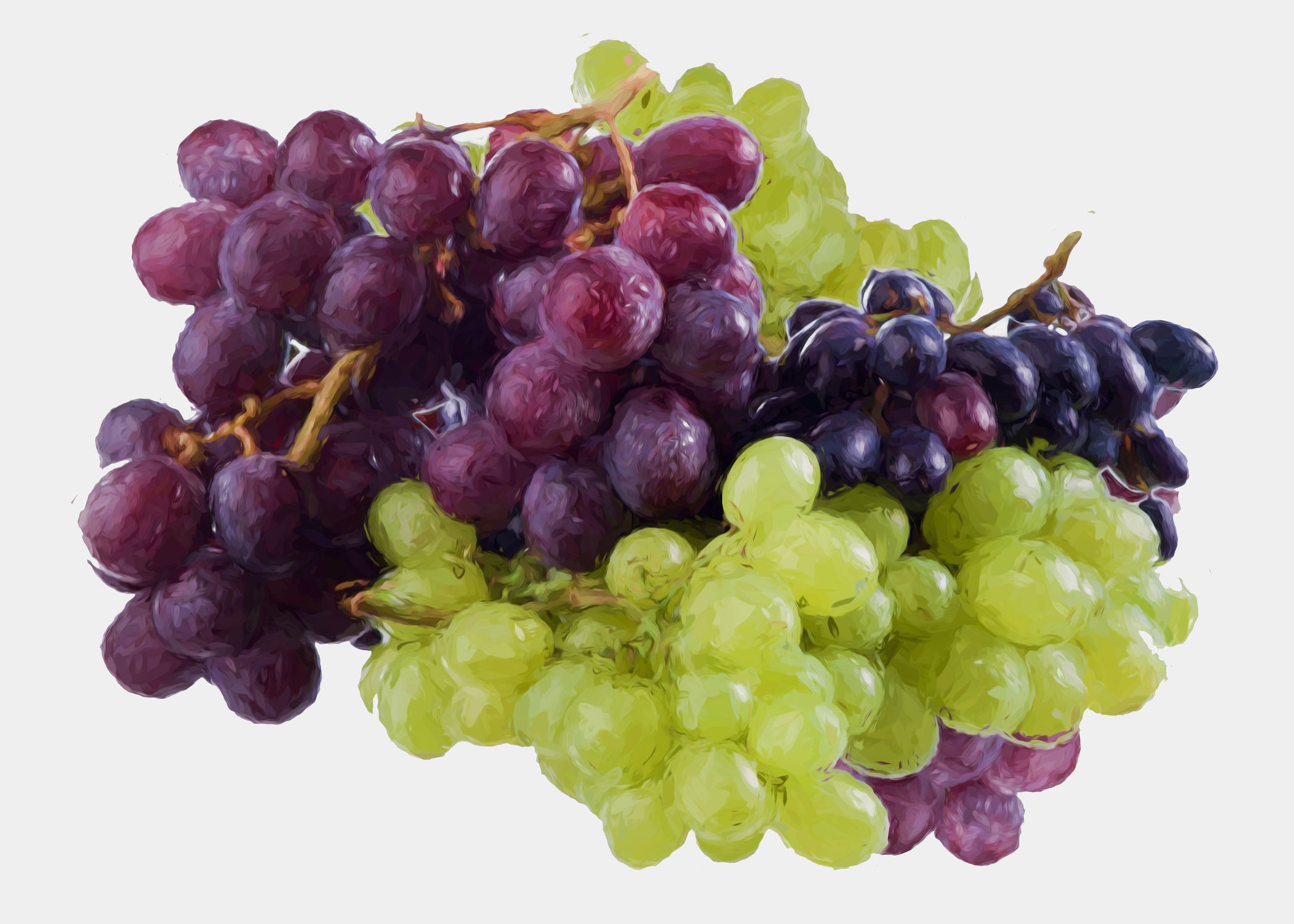 Leinwandbild 120x80cm auf Keilrahmen Weintrauben,Nahaufnahme,Früchte,blau 