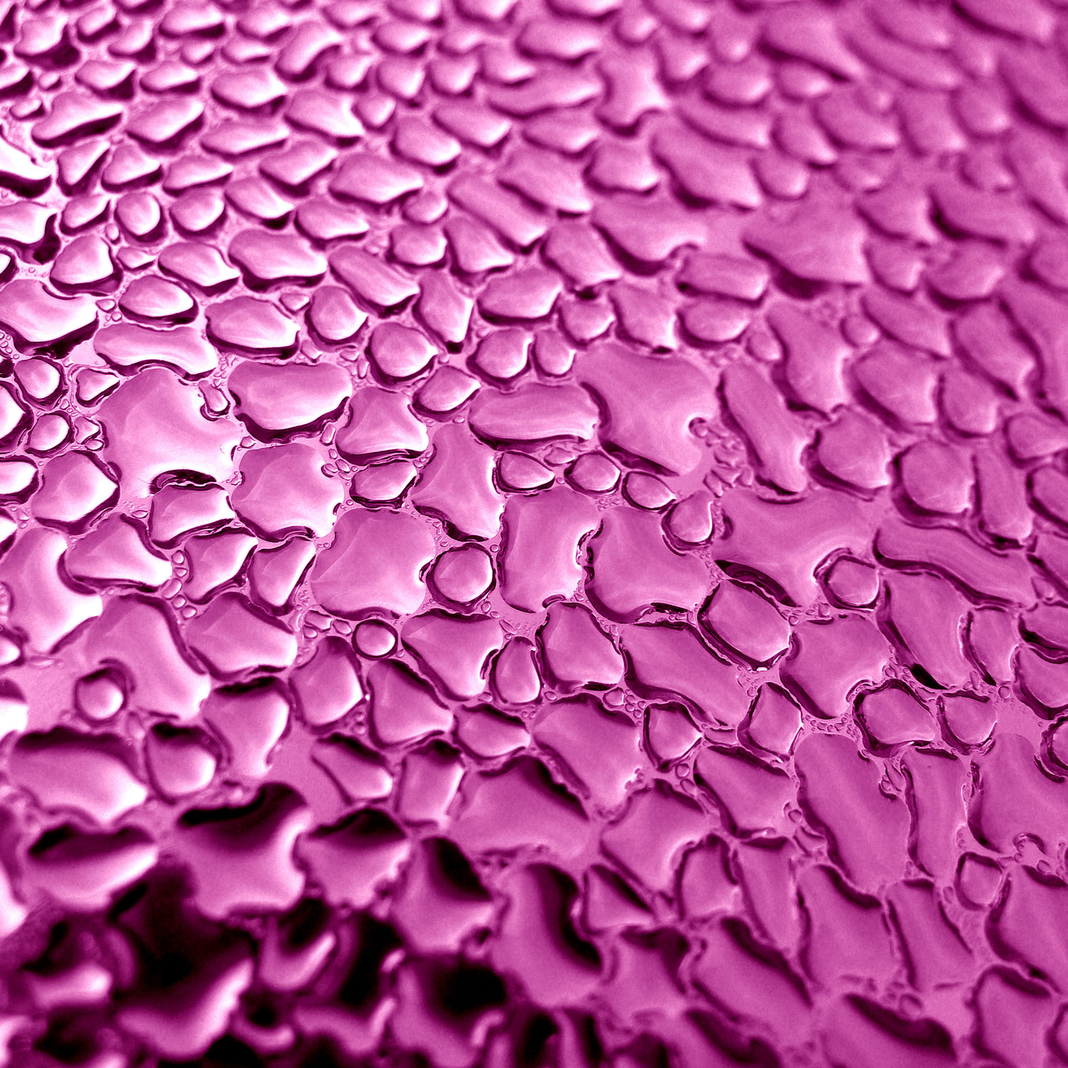 Bild mit Hintergrund, Wassertropfen, Regentropfen, Wasserperlen, Tropfen, pink, rückwand, background