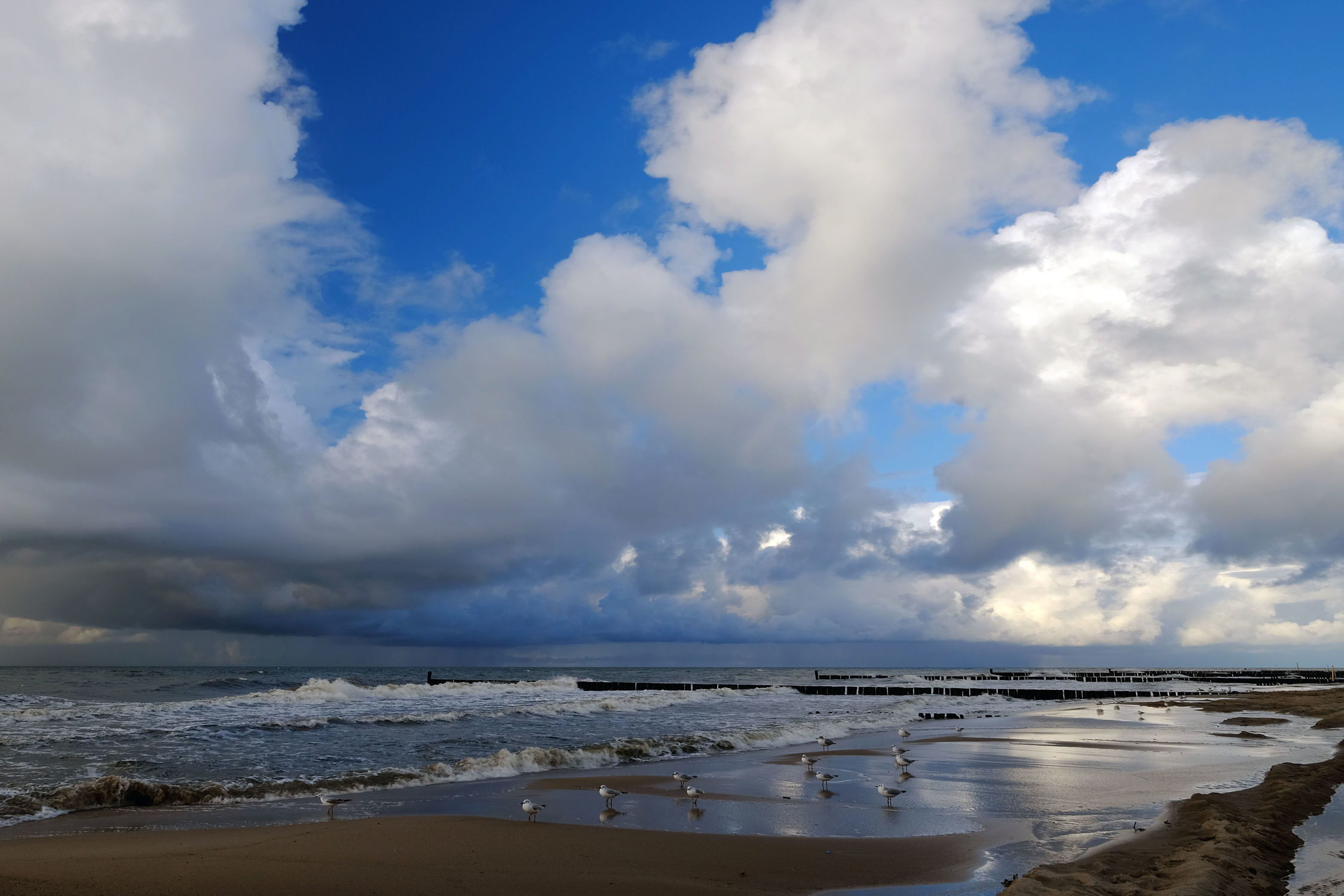Bild mit Himmel, Wolken, Ostsee, Strand / Meer, Wind, sturm, Ostseeküste, Erde, Regenwolken