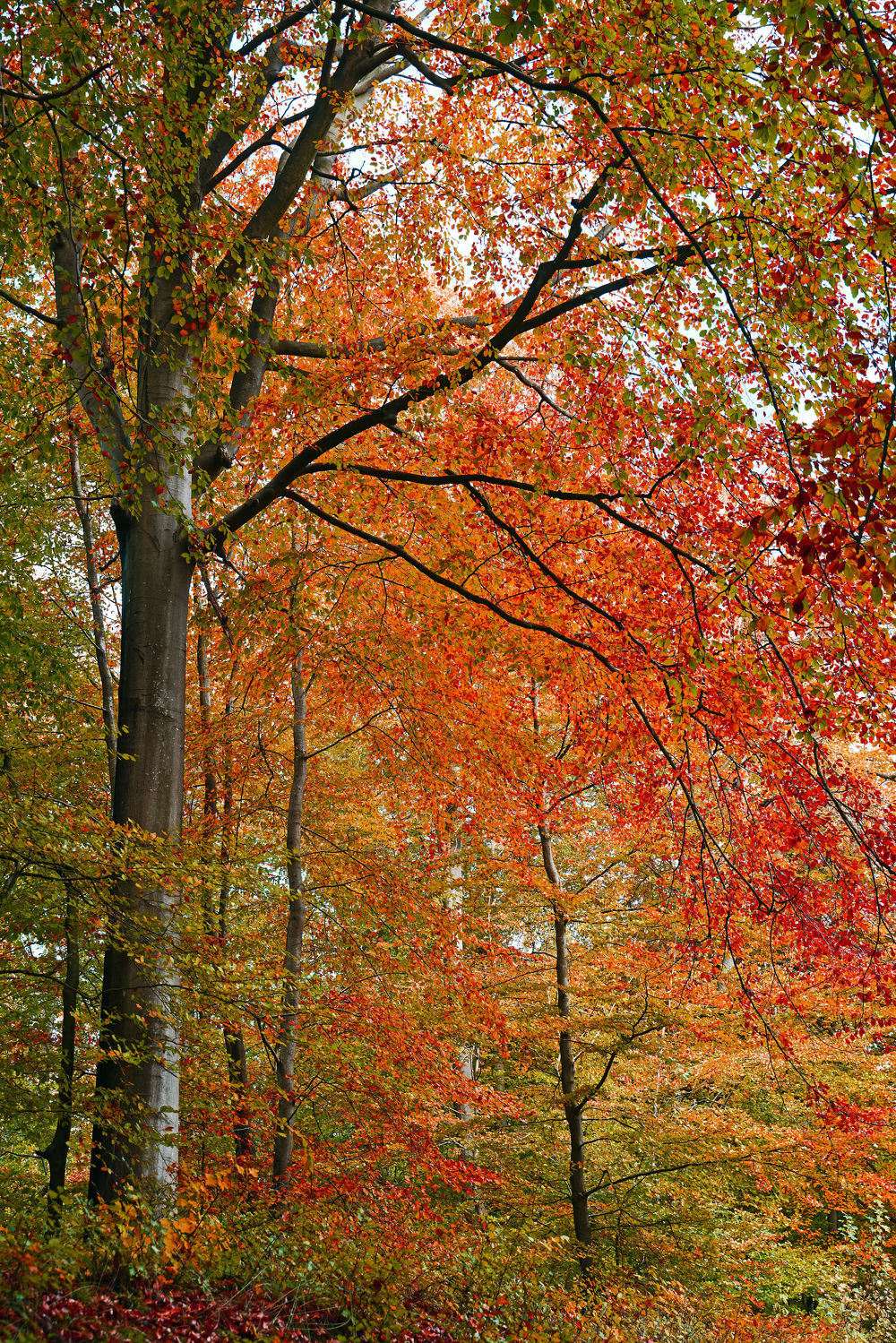 Bild mit Herbst, Ausspannen