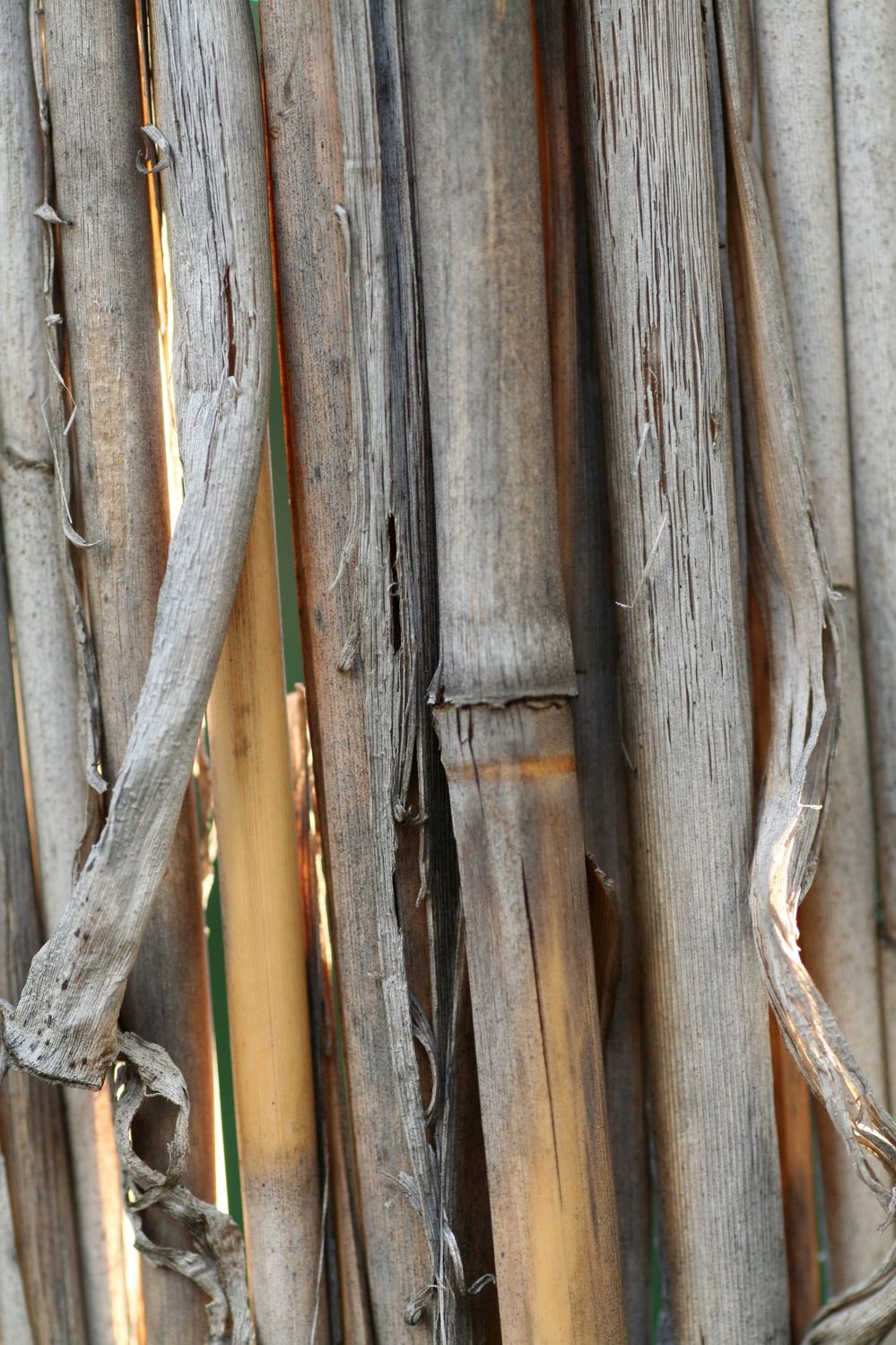 Bild mit Materialien, Holz, Bambus