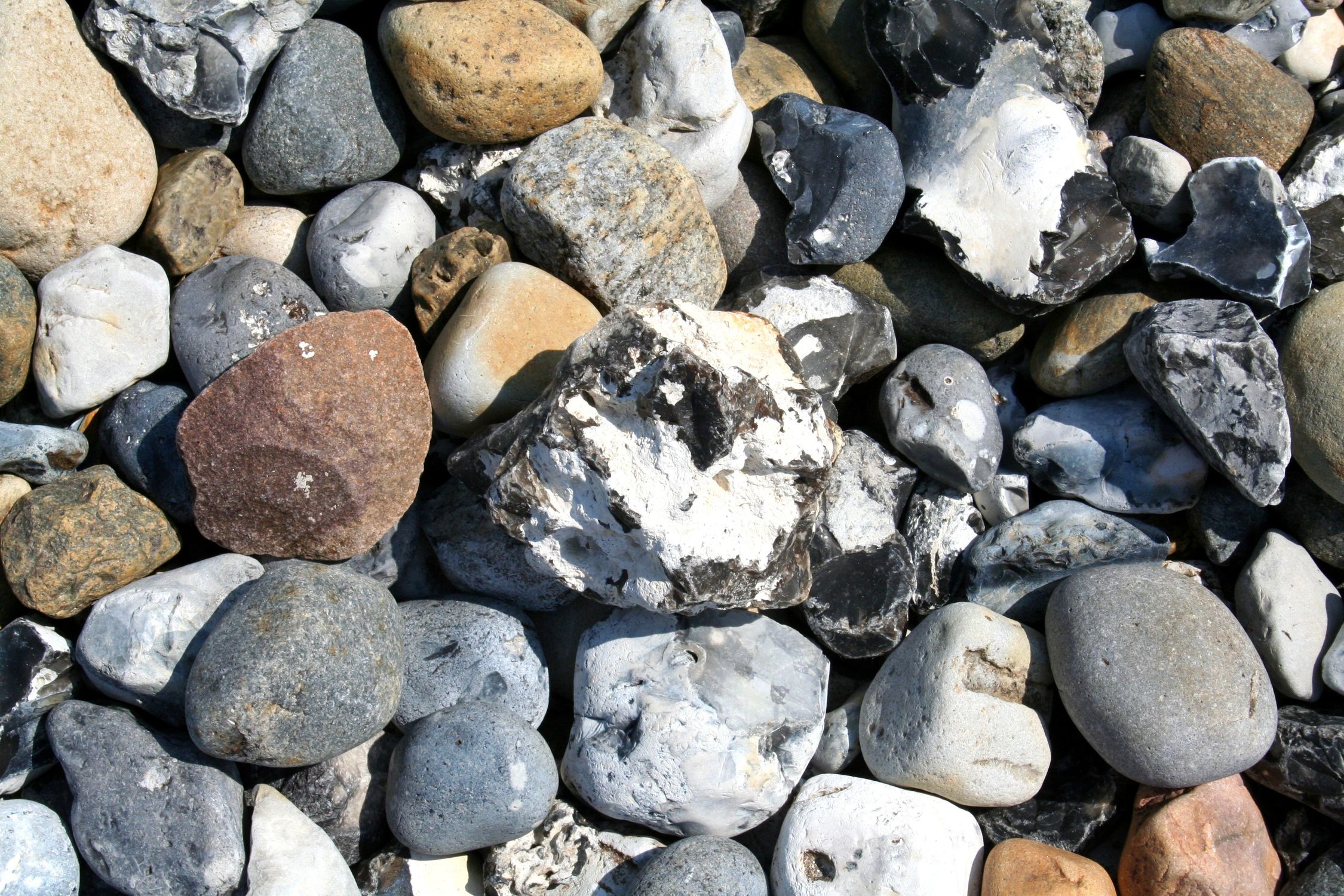 Bild mit Ostsee, Steine