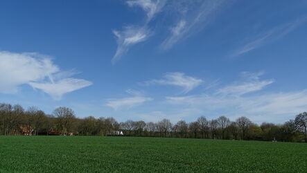 Bild mit Himmel, Bäume, Laubbäume, Panorama, Landschaft, Wolken am Himmel, Ackerland