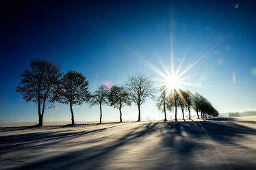 Bild mit Bäume, Schnee, Sonne, winterlandschaft, Schneelandschaften, Landschaften im Winter