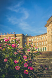 Bild mit Blumen, Schloss, Wolken am Himmel, Blauer Himmel, frühlingsblumen, Schloss Wilhelmshöhe, Schöner Tag