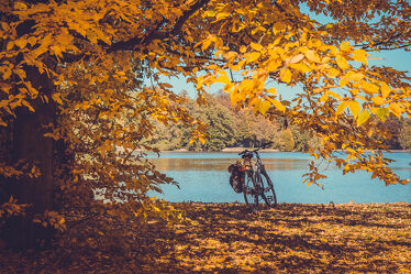 Bild mit Herbst, Seeblick, Blauer Himmel, Blick in den Himmel durch die Baumkronen, Laubblätter, Herbstblätter, Fahrrad, Goldener Herbst, Herbststimmung