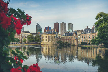 Bild mit Blumen, Wasserblick, Stadtansichten, Stadtbild, Stadt Impressionen, Städtereisen, moderne Architektur, cityscape, Den Haag