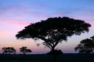 Bild mit Natur, Landschaften, Nationalparks, Sonnenaufgang, Dämmerung, Reisen, Naturlandschaften, Afrika, Morgenstimmung, Uganda