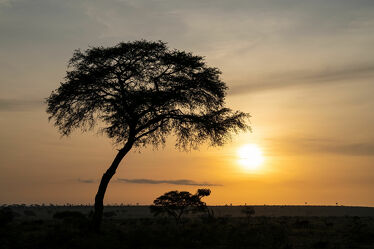 Morgenstimmung, Uganda