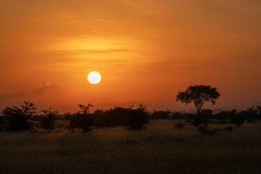 Bild mit Natur, Landschaften, Nationalparks, Sonnenuntergang, Sonnenaufgang, Reisen, Naturlandschaften, Afrika, Morgenstimmung, Uganda