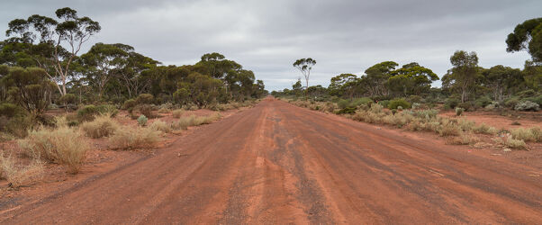 Straße im Outback von Western Australia