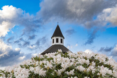 Kirchturmspitze hinter Blüten