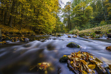 Herbstzauber an einem Fluss 1