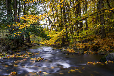 Herbstzauber an einem Fluss 2