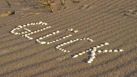 Bild mit Sand, Strand, Ostsee, Meer, Muscheln, Symbol Glück, Glück