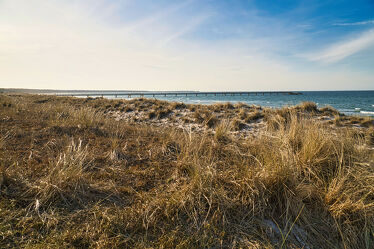Blick über die Dünen am Ostseestrand / Küste