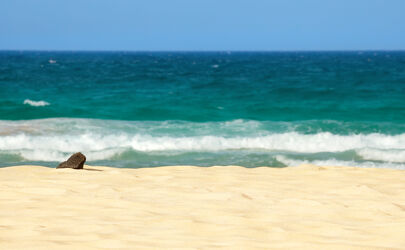 Bild mit Stein, Sand, Urlaub, Strand, Meer, Küste, Reise, Fuerteventura, Kanarische Inseln, Kanaren