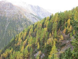 Bild mit Alps, Engadin, colors, colorful, fall, breathtaking, grisons, expressive, swiss alps, colored leaves