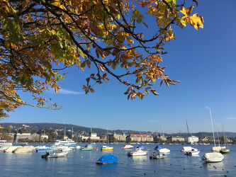 Lake of Zurich with boats on a sunny day in fall