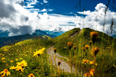 Bild mit Alpen Panorama, Wolkenhimmel, Wanderweg, Gebirge, Berglandschaft, Alpenblumen, Alpenlandschaft, Blumenlandschaft