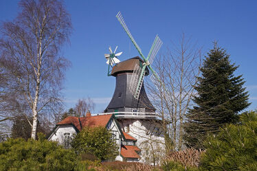 Gallerieholländer Windmühle Anna in Rieseby