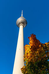 Bild mit Herbst, Tageslicht, Baum, Fernsehturm, Berliner Fernsehturm, Laubbaum, Blauer Himmel, Froschperspektive, sonnig